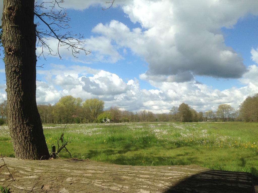 Bij En Boom Bed & Breakfast Drachten Exterior foto